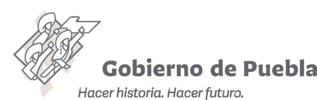 Logo Puebla Photoroom 1024x326